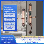 YIYUSJ Smart Lock Y-916
