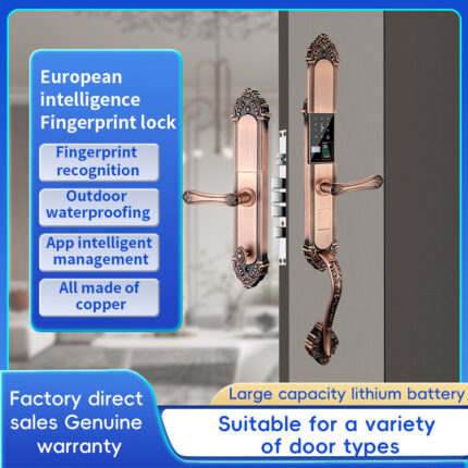 YIYUSJ Smart Lock Y-916