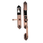 YIYUSJ Smart Lock Y-8812R - Image 7